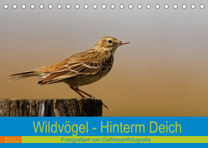 Wildvögel – Hinterm Deich (Tischkalender 2022 DIN A5 quer) von Betten - Ostfriesenfotografie,  Christina