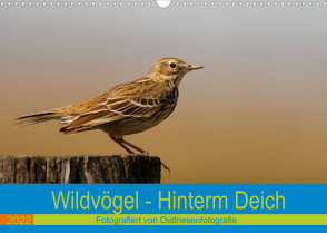 Wildvögel – Hinterm Deich (Wandkalender 2022 DIN A3 quer) von Betten - Ostfriesenfotografie,  Christina