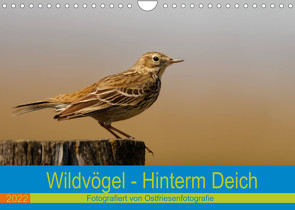 Wildvögel – Hinterm Deich (Wandkalender 2022 DIN A4 quer) von Betten - Ostfriesenfotografie,  Christina