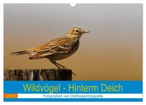 Wildvögel – Hinterm Deich (Wandkalender 2024 DIN A3 quer), CALVENDO Monatskalender von Betten - Ostfriesenfotografie,  Christina