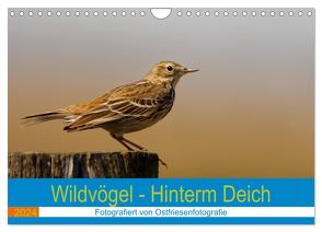 Wildvögel – Hinterm Deich (Wandkalender 2024 DIN A4 quer), CALVENDO Monatskalender von Betten - Ostfriesenfotografie,  Christina