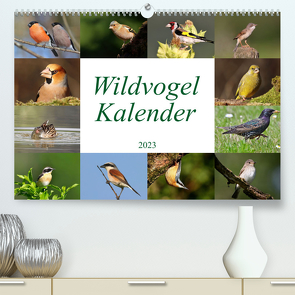 Wildvogelkalender (Premium, hochwertiger DIN A2 Wandkalender 2023, Kunstdruck in Hochglanz) von Bucher,  Leo