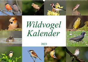 Wildvogelkalender (Wandkalender 2023 DIN A2 quer) von Bucher,  Leo