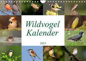 Wildvogelkalender (Wandkalender 2023 DIN A4 quer) von Bucher,  Leo