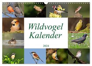 Wildvogelkalender (Wandkalender 2024 DIN A3 quer), CALVENDO Monatskalender von Bucher,  Leo