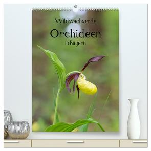 Wildwachsende Orchideen in Bayern (hochwertiger Premium Wandkalender 2024 DIN A2 hoch), Kunstdruck in Hochglanz von Birzer,  Christian