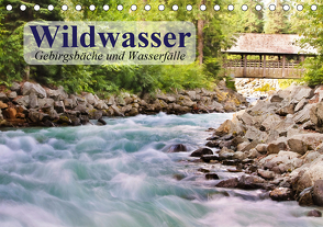 Wildwasser. Gebirgsbäche und Wasserfälle (Tischkalender 2021 DIN A5 quer) von Stanzer,  Elisabeth