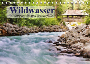 Wildwasser. Gebirgsbäche und Wasserfälle (Tischkalender 2022 DIN A5 quer) von Stanzer,  Elisabeth