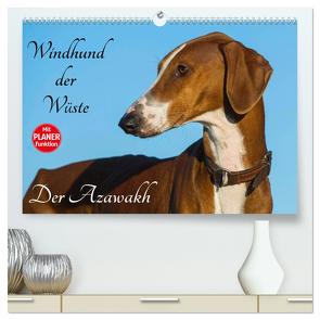 Windhund der Wüste – Der Azawakh (hochwertiger Premium Wandkalender 2024 DIN A2 quer), Kunstdruck in Hochglanz von Starick,  Sigrid