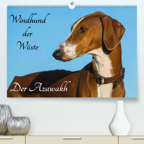 Windhund der Wüste – Der Azawakh (Premium, hochwertiger DIN A2 Wandkalender 2021, Kunstdruck in Hochglanz) von Starick,  Sigrid