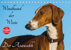 Windhund der Wüste – Der Azawakh (Tischkalender 2023 DIN A5 quer) von Starick,  Sigrid