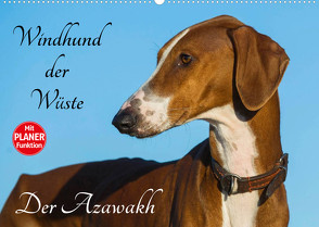 Windhund der Wüste – Der Azawakh (Wandkalender 2022 DIN A2 quer) von Starick,  Sigrid