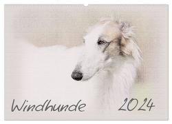 Windhunde 2024 (Wandkalender 2024 DIN A2 quer), CALVENDO Monatskalender von Redecker,  Andrea