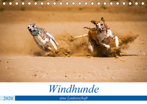 Windhunde – eine Leidenschaft (Tischkalender 2020 DIN A5 quer) von Redl,  Ula