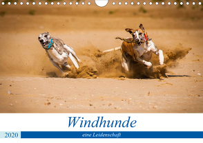 Windhunde – eine Leidenschaft (Wandkalender 2020 DIN A4 quer) von Redl,  Ula