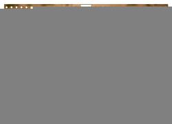 Windhunde – eine Leidenschaft (Wandkalender 2024 DIN A4 quer), CALVENDO Monatskalender von Redl,  Ula