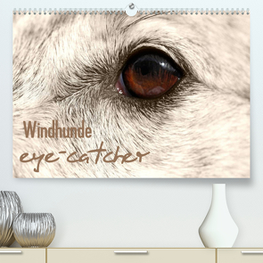 Windhunde eye-catcher (Premium, hochwertiger DIN A2 Wandkalender 2023, Kunstdruck in Hochglanz) von - Andrea Redecker,  4pfoten-design