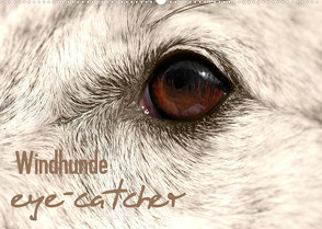 Windhunde eye-catcher (Wandkalender 2023 DIN A2 quer) von - Andrea Redecker,  4pfoten-design