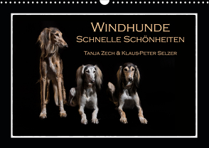 Windhunde – Schnelle Schönheiten (Wandkalender 2021 DIN A3 quer) von Zech & Klaus-Peter Selzer,  Tanja