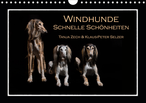 Windhunde – Schnelle Schönheiten (Wandkalender 2021 DIN A4 quer) von Zech & Klaus-Peter Selzer,  Tanja