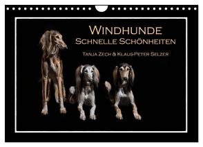 Windhunde – Schnelle Schönheiten (Wandkalender 2024 DIN A4 quer), CALVENDO Monatskalender von Zech & Klaus-Peter Selzer,  Tanja