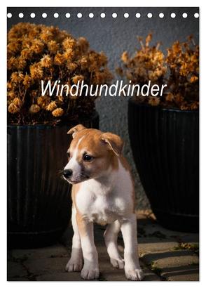 Windhundkinder (Tischkalender 2024 DIN A5 hoch), CALVENDO Monatskalender von Redl,  Ula