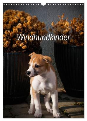 Windhundkinder (Wandkalender 2024 DIN A3 hoch), CALVENDO Monatskalender von Redl,  Ula