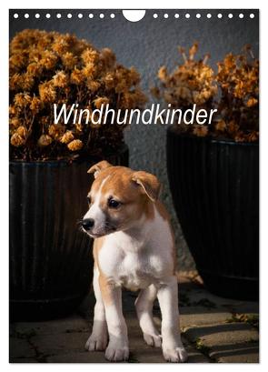 Windhundkinder (Wandkalender 2024 DIN A4 hoch), CALVENDO Monatskalender von Redl,  Ula