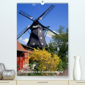 Windmühlen in Norddeutschland (Premium, hochwertiger DIN A2 Wandkalender 2022, Kunstdruck in Hochglanz) von Reupert,  Lothar