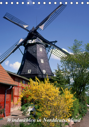 Windmühlen in Norddeutschland (Tischkalender 2021 DIN A5 hoch) von Reupert,  Lothar