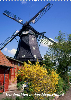 Windmühlen in Norddeutschland (Wandkalender 2022 DIN A2 hoch) von Reupert,  Lothar