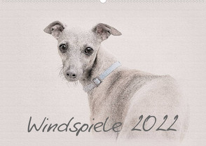 Windspiele 2022 (Wandkalender 2022 DIN A2 quer) von Redecker,  Andrea