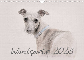 Windspiele 2023 (Wandkalender 2023 DIN A4 quer) von Redecker,  Andrea