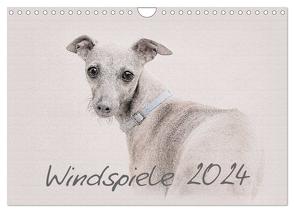 Windspiele 2024 (Wandkalender 2024 DIN A4 quer), CALVENDO Monatskalender von Redecker,  Andrea