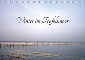 Winter im Teufelsmoor (Tischkalender 2021 DIN A5 quer) von Adam,  Ulrike