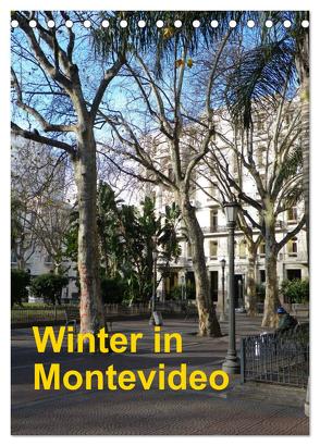 Winter in Montevideo (Tischkalender 2024 DIN A5 hoch), CALVENDO Monatskalender von Kristin von Montfort,  Gräfin