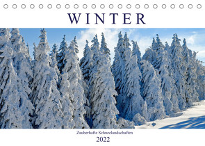 Winter. Zauberhafte Schneelandschaften (Tischkalender 2022 DIN A5 quer) von Hurley,  Rose