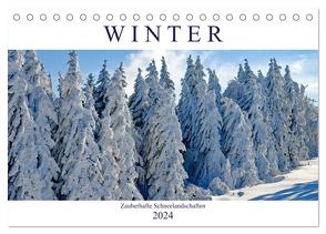 Winter. Zauberhafte Schneelandschaften (Tischkalender 2024 DIN A5 quer), CALVENDO Monatskalender von Hurley,  Rose