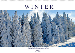 Winter. Zauberhafte Schneelandschaften (Wandkalender 2022 DIN A2 quer) von Hurley,  Rose