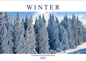 Winter. Zauberhafte Schneelandschaften (Wandkalender 2023 DIN A2 quer) von Hurley,  Rose