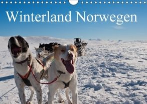 Winterland Norwegen (Wandkalender 2018 DIN A4 quer) von Linden,  Paul