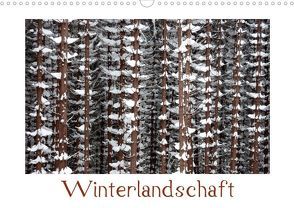 Winterlandschaft (Posterbuch DIN A3 quer) von Willkowei,  Thomas