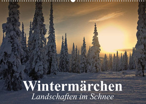 Wintermärchen Landschaften im Schnee (Wandkalender 2023 DIN A2 quer) von Stanzer,  Elisabeth