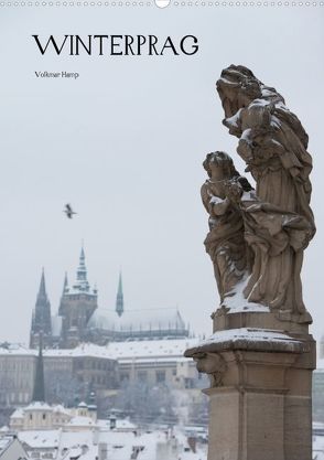 Winterprag (Posterbuch DIN A2 hoch) von Hamp,  Volkmar