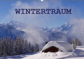 WinterTraum (Wandkalender 2019 DIN A2 quer) von Michel,  Susan