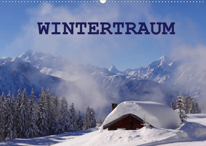 WinterTraum (Wandkalender 2020 DIN A2 quer) von Michel,  Susan