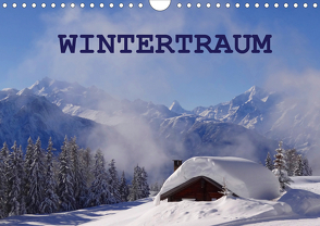 WinterTraum (Wandkalender 2020 DIN A4 quer) von Michel,  Susan