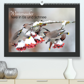 Winterzauber – Tiere in Eis und Schnee (Premium, hochwertiger DIN A2 Wandkalender 2021, Kunstdruck in Hochglanz) von Bachmeier,  Günter