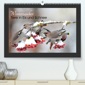 Winterzauber – Tiere in Eis und Schnee (Premium, hochwertiger DIN A2 Wandkalender 2022, Kunstdruck in Hochglanz) von Bachmeier,  Günter