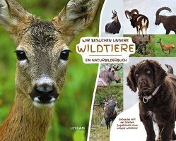 Wir besuchen unsere Wildtiere – Ein Naturbilderbuch von Flick,  Ingrid, Rothmann,  Georg